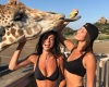 Bella Hadid With A Giraffe