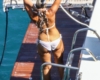 Leaked Leona Lewis Tanning In Bikini On A Boat 02