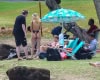 NICOLA PELTZ ON VACATION IN HAWAII (2017) 04_inPixio